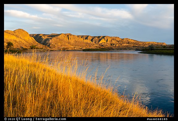 Grasses and bluffs at sunrise, Wood Bottom. Upper Missouri River Breaks National Monument, Montana, USA (color)
