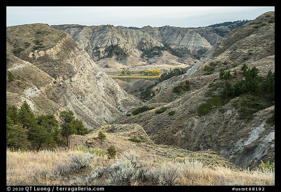 Badlands. Upper Missouri River Breaks National Monument, Montana, USA (color)