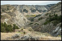 Badlands. Upper Missouri River Breaks National Monument, Montana, USA ( color)