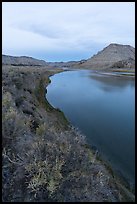 Missouri River and badlands. Upper Missouri River Breaks National Monument, Montana, USA ( color)