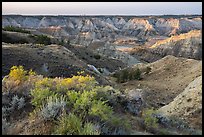 Shurbs and badlands. Upper Missouri River Breaks National Monument, Montana, USA ( color)