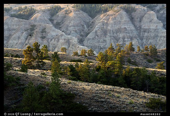 Ridges and badlands. Upper Missouri River Breaks National Monument, Montana, USA (color)