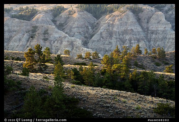 Ridges and badlands. Upper Missouri River Breaks National Monument, Montana, USA (color)