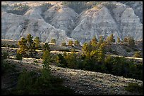 Ridges and badlands. Upper Missouri River Breaks National Monument, Montana, USA ( color)