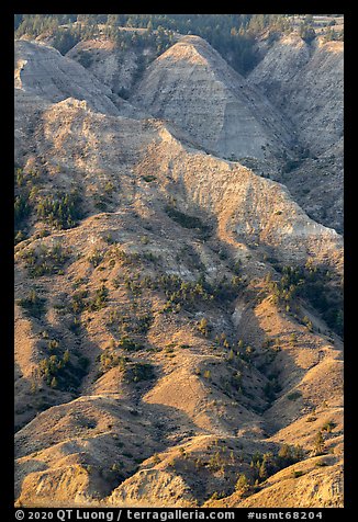 Hills and badlands. Upper Missouri River Breaks National Monument, Montana, USA (color)