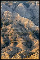 Hills and badlands. Upper Missouri River Breaks National Monument, Montana, USA ( color)