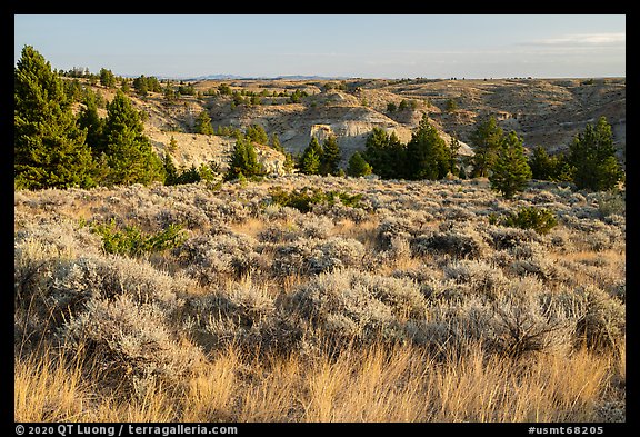 Grasses, sagebrush, and badlands. Upper Missouri River Breaks National Monument, Montana, USA (color)