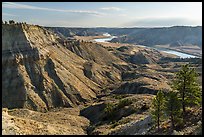 Badlands and Missouri River valley. Upper Missouri River Breaks National Monument, Montana, USA ( color)