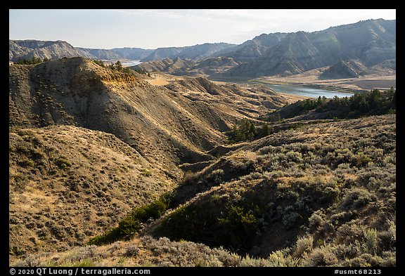 Sage-covered slopes. Upper Missouri River Breaks National Monument, Montana, USA (color)