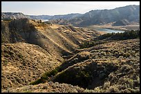 Sage-covered slopes. Upper Missouri River Breaks National Monument, Montana, USA ( color)