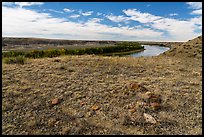 Undisturbed tipi rings, Little Sandy. Upper Missouri River Breaks National Monument, Montana, USA ( color)