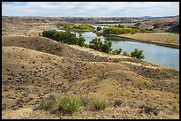 Above Little Sandy Camp. Upper Missouri River Breaks National Monument, Montana, USA ( color)