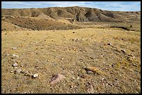 Teepee ring and hill, Little Sandy. Upper Missouri River Breaks National Monument, Montana, USA ( color)