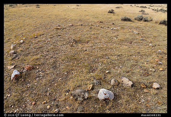 Tipi ring. Upper Missouri River Breaks National Monument, Montana, USA (color)