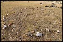 Tipi ring. Upper Missouri River Breaks National Monument, Montana, USA ( color)