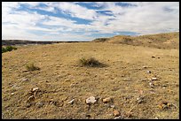 Teepee ring, Little Sandy. Upper Missouri River Breaks National Monument, Montana, USA ( color)