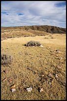 Tepee ring, Little Sandy. Upper Missouri River Breaks National Monument, Montana, USA ( color)