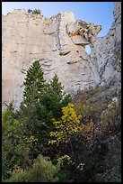 Sandstone wall with hole, Neat Coulee. Upper Missouri River Breaks National Monument, Montana, USA ( color)