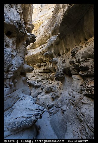 Twisted passages in Neat Coulee slot canyon. Upper Missouri River Breaks National Monument, Montana, USA (color)