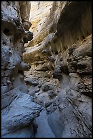Twisted passages in Neat Coulee slot canyon. Upper Missouri River Breaks National Monument, Montana, USA ( color)