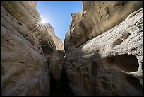 Sandstone walls of Neat Coulee slot canyon and sun. Upper Missouri River Breaks National Monument, Montana, USA ( color)