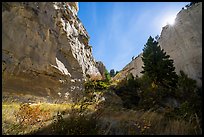 Canyon, Neat Coulee. Upper Missouri River Breaks National Monument, Montana, USA ( color)