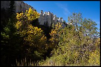 Trees in autumn foliage below sandstone pinnacles. Upper Missouri River Breaks National Monument, Montana, USA ( color)