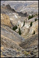 Ridges and canyon walls, Valley of the Walls. Upper Missouri River Breaks National Monument, Montana, USA ( color)