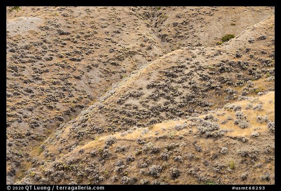 Hill ridges. Upper Missouri River Breaks National Monument, Montana, USA (color)