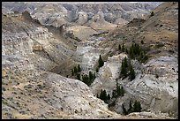 Canyon walls of Valley of the Walls. Upper Missouri River Breaks National Monument, Montana, USA ( color)