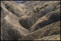 Creek carving hills upstream of Valley of the Walls. Upper Missouri River Breaks National Monument, Montana, USA ( color)