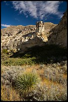 Sotol and sandstone pinnacle. Upper Missouri River Breaks National Monument, Montana, USA ( color)