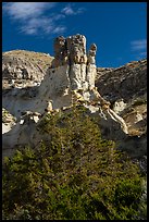 Tree and rock pinnacle. Upper Missouri River Breaks National Monument, Montana, USA ( color)
