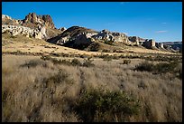 Grassland and Dark Butte. Upper Missouri River Breaks National Monument, Montana, USA ( color)