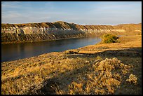 Grasses and cliffs, Slaughter River Camp. Upper Missouri River Breaks National Monument, Montana, USA ( color)