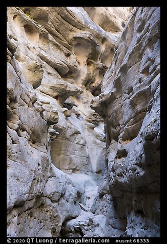 Knobs and holes in canyon walls, Neat Coulee. Upper Missouri River Breaks National Monument, Montana, USA (color)