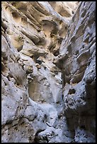 Knobs and holes in canyon walls, Neat Coulee. Upper Missouri River Breaks National Monument, Montana, USA ( color)