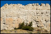 Sandstone wall. Upper Missouri River Breaks National Monument, Montana, USA ( color)