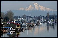 Houseboats on North Portland Harbor and snow-covered Mt Hood. Portland, Oregon, USA (color)