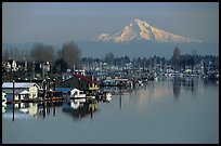 North Portland Harbor, houseboats, and Mt Hood. Portland, Oregon, USA ( color)