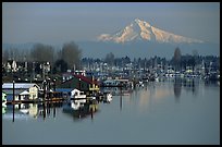 North Portland Harbor, houseboats, and Mt Hood. Portland, Oregon, USA