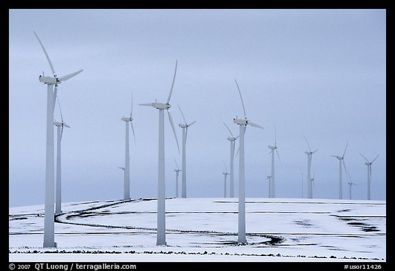 Electricity-generating windmills. Oregon, USA (color)
