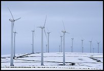 Electricity-generating windmills. Oregon, USA (color)