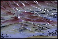 Colorful strata and snow on painted hills. John Day Fossils Bed National Monument, Oregon, USA ( color)