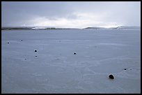 Frozen Klamath Lakes. Oregon, USA ( color)