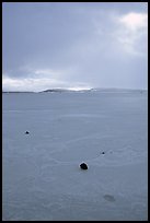 Pebbles on Frozen Klamath Lake. Oregon, USA (color)