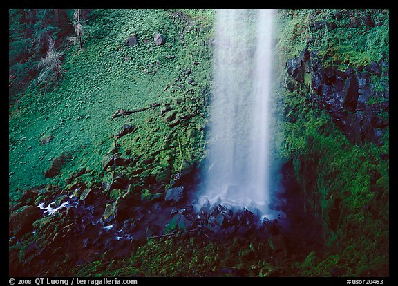 Mossy basin and waterfall base, Watson Falls. USA (color)