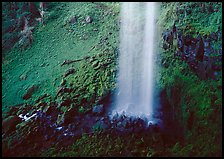 Mossy basin and waterfall base, Watson Falls. Oregon, USA (color)