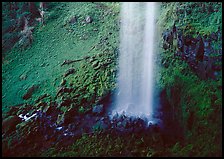 Mossy basin and waterfall base, Watson Falls. Oregon, USA