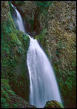 Waterfall, Columbia River Gorge. USA ( color)